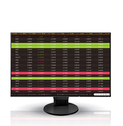 Eizo FlexScan EV2456FX - BK Monitor 24.1" Black - ColorMall